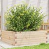 vidaXL Garden Planter Natural Wood Solid Pine Wood Medium Garden Planter