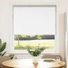 vidaXL Roller Blind White 100% Polyester, Aluminum 37.4 x 59 in