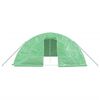 vidaXL Greenhouse Green Polyethylene Large UV-resistant materials
