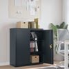 vidaXL File Cabinet Anthracite Steel 41.3in Height-Adjustable Shelves