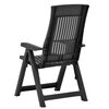 vidaXL Garden Chair Set of 2 Anthracite Plastic Standard Foldable