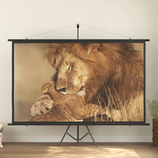 vidaXL Projection Screen 108" 16:9