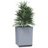 vidaXL Planter Set of 2 Light Grey Polypropylene Medium