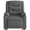 vidaXL Electric Stand Up Massage Recliner Chair Dark Gray