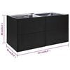vidaXL Garden Planter Black and Transparent