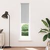 vidaXL Roller Shade Light grey 100% Polyester 21 x 82 in