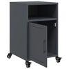 vidaXL Bedside Cabinet Anthracite Cold-rolled steel Bedside Cabinet