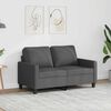 vidaXL 2-seater Sofa Dark gray Fabric (100% polyester), metal, textilene