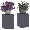 vidaXL Plant Stand 2 pcs Anthracite 9.45 x 9.45 x 13.78 in Steel