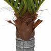 vidaXL Artificial Palm Tree Green PEVA Medium Artificial Palm Tree