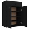 vidaXL Shoe Cabinet Black 23.6x13.8x33.1" Engineered Wood