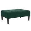 vidaXL Sofa Bed Dark Green Velvet, Wood, Foam, Plastic 2-Seater Foldable