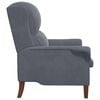 vidaXL armchair Dark gray 76 x 94 x 102 cm Velvet