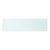vidaXL Glass Panel Set of 2 Clear Toughened Glass 19.7 x 4.7 in