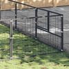 vidaXL Dog Kennel Black Steel 387.5 sq ft Durable Dog Kennel