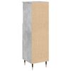 vidaXL Bathroom Cabinet Concrete grey Engineered wood, iron Tall