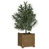 vidaXL Planter Honey brown Solid pinewood 12.2 in Decorative Inlays