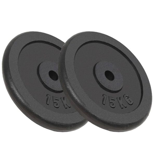 vidaXL Weight Plates 2 pcs 2x33.1 lb Cast Iron