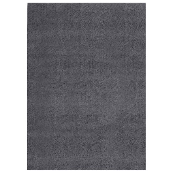 vidaXL Rug Anthracite 100% Polyester Large Rug Rectangular Modern