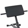 vidaXL Hyperextension Bench Black 101 x 70 x 71 cm Powder-coated steel