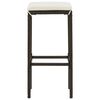 vidaXL Bar Stool Set of 2 Brown PE rattan, steel Standard Footrest