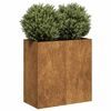 vidaXL Planter Normal metal color to start, Rusty over time Weathering Steel