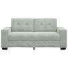 vidaXL Loveseat Sofa Light grey Velvet (100% polyester), Plywood, Steel
