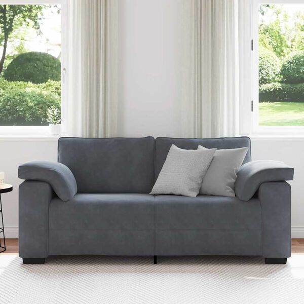 vidaXL Loveseat Sofa Dark Grey Velvet (100% polyester), Plywood, Steel