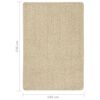 vidaXL Rug Cream 100% Polypropylene 63 x 91 in Rug Rectangular