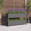 vidaXL Planter Grey Solid pine wood Medium Durable Planter
