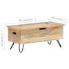 vidaXL Chest Natural wood Solid mango wood, Steel Medium Chest