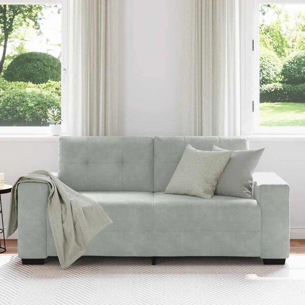 vidaXL Loveseat Sofa Light grey Velvet (100% polyester), Plywood, Steel
