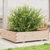 vidaXL Garden Planter Natural wood Solid pinewood 39.4x39.4x10.4 in