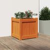 vidaXL Garden Planter Wax Brown Solid Pine Wood Medium Decorative Inlays