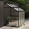 vidaXL Greenhouse Anthracite and Transparent