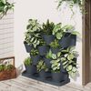 vidaXL Garden Plant Set Anthracite Polypropylene Large
