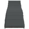 vidaXL Sun Lounger Set of 2 Grey PE rattan, powder-coated steel Standard