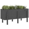 vidaXL Garden Raised Bed Grey Solid Pine Wood Medium Decorative Inlays