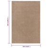 vidaXL Rug Brown 100% Polypropylene 63 x 90 in Durable Rug