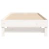 vidaXL Day Bed White Solid pinewood Double Pull-Out Day Bed