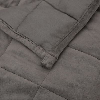 vidaXL Weighted Blanket Gray 86.6"x92.5" 24.3 lb Fabric