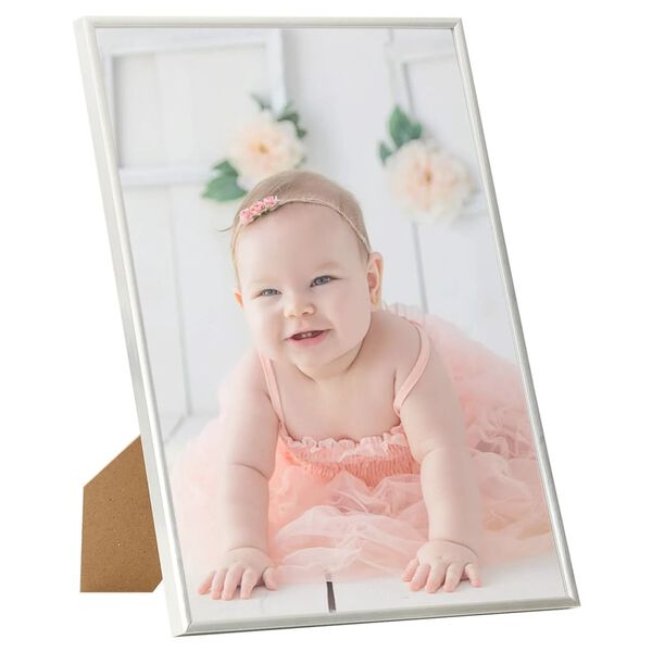 vidaXL Photo Frame Set of 5 Silver MDF, PS, PVC Large