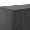 vidaXL Sideboard Anthracite Steel Standard Levelers Sideboard