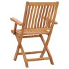 vidaXL Garden Chair Set of 2 Teak