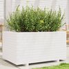 vidaXL Garden Planter White Solid Pine Wood 35.4x23.6x19.5 in