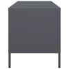 vidaXL TV Cabinet Anthracite Cold-rolled steel Medium Adjustable Feet