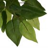 vidaXL Artificial Ficus Tree 1008 Leaves 70.9" Green