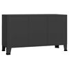 vidaXL Sideboard Black Metal, glass Medium Sideboard Rectangular