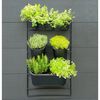 Nature Flower Pot Black Polypropylene with metal frame