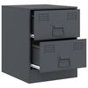 vidaXL Bedside Cabinet Set of 2 Anthracite Steel 13.6 x 15.4 x 17.3 in